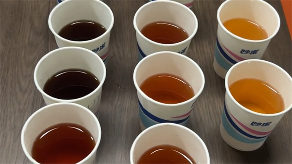 台式91视频污污污——茶水 (3)