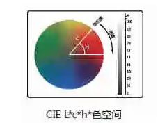 91视频污污污l值c值h值是什麽意思？